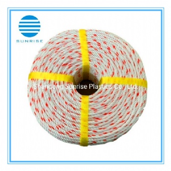 PP Danline Rope/PP Rope/Plastic Rope