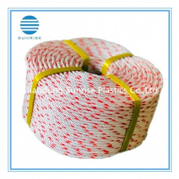 PP Danline Rope/PP Rope/Plastic Rope