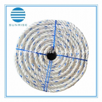 PP Danline Rope/PP Rope/Plastic Rope